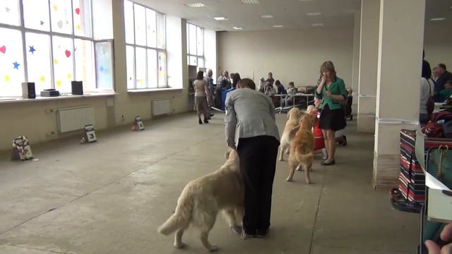 РРК-Весна 2013. Класс чемпионы.