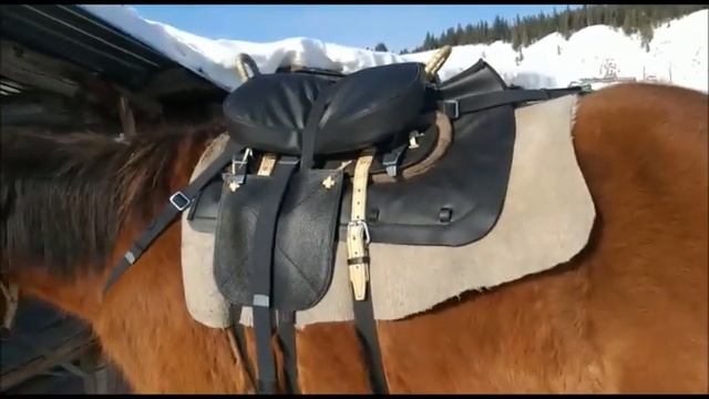 Видео от заказчика из Якутии. Чабанское седло. смотреть онлайн