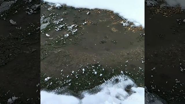 Зимний ноктюрн ....mp4 смотреть онлайн