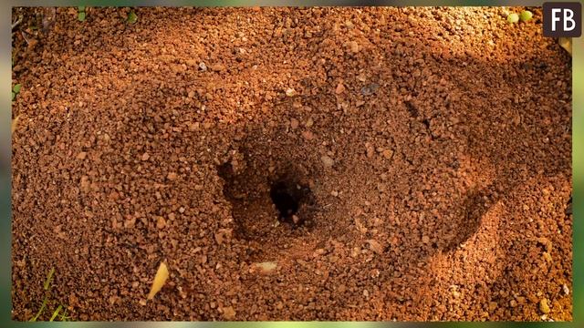 Ремонтный Университет