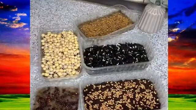 КАК ВЫРОСТИТЬ МИКРОЗЕЛЕНЬ ГОРОХА смотреть онлайн