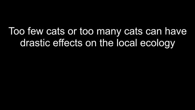 Cats — When your feline friend needs a stat block (D&D Compendium of Monsters) смотреть онлайн