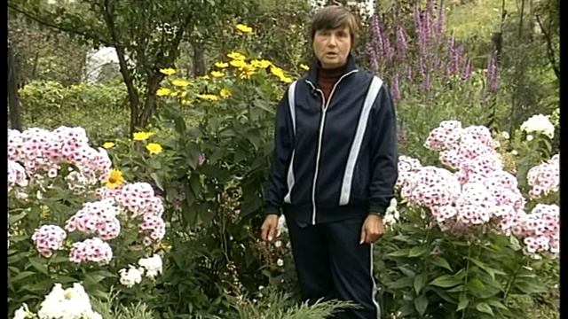 Гейхера: посадка и уход смотреть онлайн