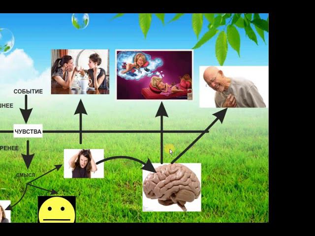Семинар психобиотерапия 1 день 1-2 смотреть онлайн