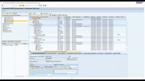 САП для начинающих. Как настроить путь анализа?