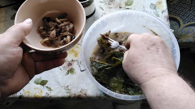 Что нужно делать что бы солёные грибы кушать всю зиму и чтоб они не протухли смотреть онлайн