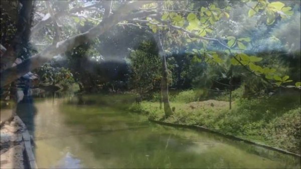 Amazing Isolated Island Destination, San Vicente, Philippines