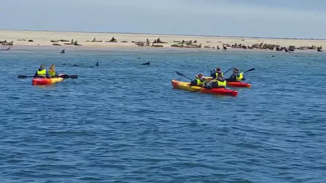 Путешествие по Намибии в 2026-2027 году