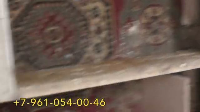 Бакинские и Николаевские голуби Жени в Астрахани! #pigeons #tauben #göyərçinlər смотреть онлайн