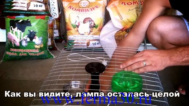 Керамическая инфракрасная лампа Эдисона смотреть онлайн