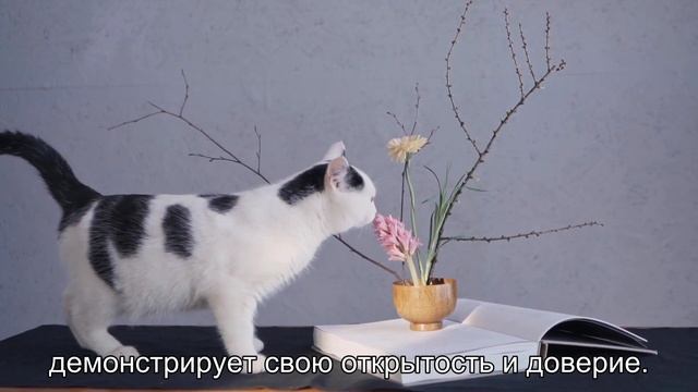 Мастерская художественного поиска