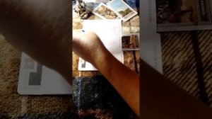 Таро #таро #расклад #грядущийцарь ( и #царица ) от августа 23года . #оракулбелая