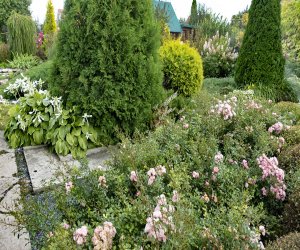 5 СОТОК / ОСЕННЯЯ СКАЗКА / СЕНТЯБРЬ