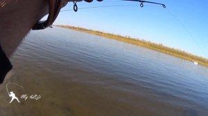 Не БЕШЕННЫЙ КЛЕВ САЗАНА НА ЗАКИДУШКИ. РЫБАЛКА на АХТУБЕ. Астраханская история в ноябре. Часть 5 ))