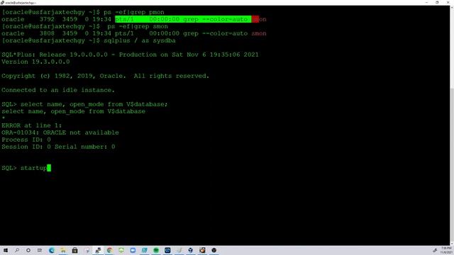 1. Check Oracle Database Status смотреть онлайн