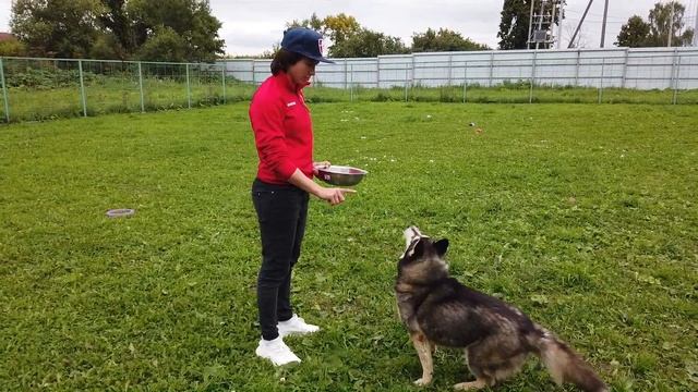 17 августа — Всемирный день бездомных животных! смотреть онлайн