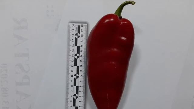 Перец капия Капстар Bursa Tohum