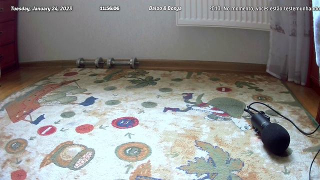 Жизнь котов, когда нет верных друзей рядом (24.01.2023 (07:55 (UTC+3))) смотреть онлайн