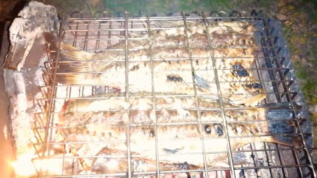 🍎Жизнь зимой у моря.... "Хорошо живём или как можем так и выеживаемся?! ..." смотреть онлайн