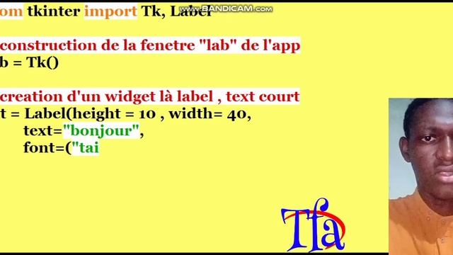Python text label смотреть онлайн