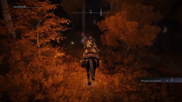 Elden Ring : Trouver une Lumière Stellaire Ambrée & 10 * bourgeon sacramentel . (Plateau Altus) смотреть онлайн