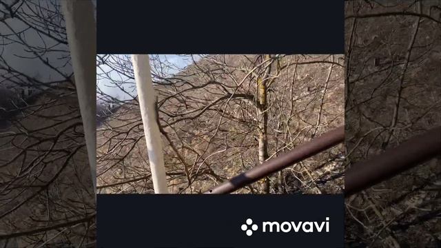 Путешествие на Кавказ. смотреть онлайн
