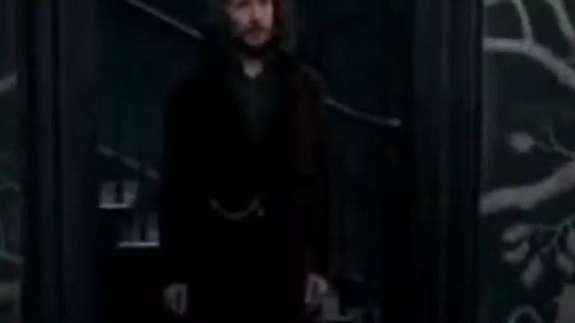 Eternal memory of Sirius Black |Harry Potter| смотреть онлайн