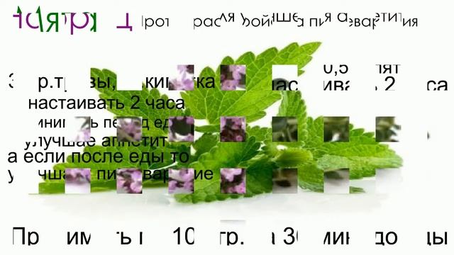 Диета-диета, а как набрать вес? ( если вы хотите поправиться) смотреть онлайн