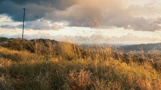 Осеннее настроение, стихи и видео - Марина Свиридова, музыка, и исполнение - Лев Шафир. смотреть онлайн
