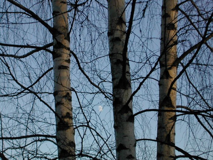 Иеромонах Роман. «Ах, оставьте, не нужно тревожить...» смотреть онлайн