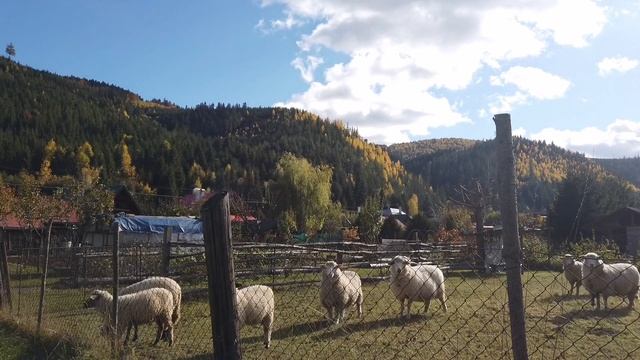 Na chalupe / 23.10. 2021 смотреть онлайн