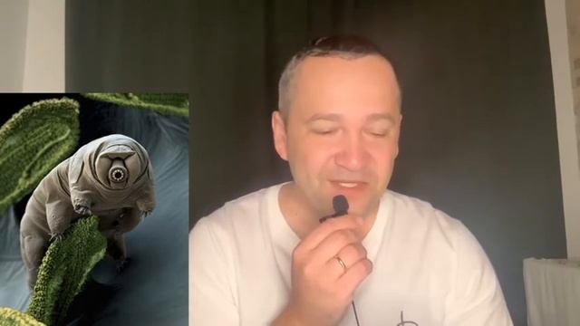 ТИХОХОДКА ИЛИ ВОДЯНОЙ МЕДВЕДЬ