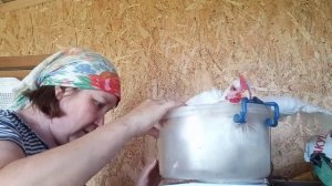 Бройлер из Испании, Венгрии и Чехии есть ли разница