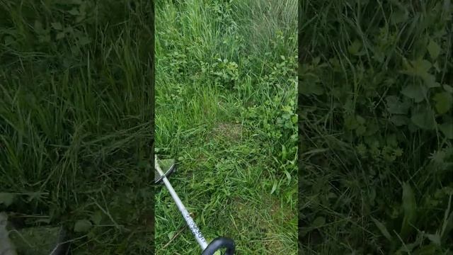 Bosch Professional Rasentrimmer GRT 18V-33 Test