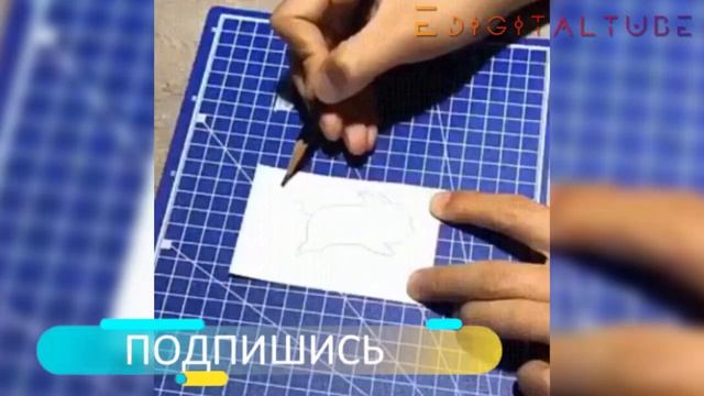 Этот Парень Приклеил Себе Волосы и Вот Что из Этого Вышло - Видео Которые Вы Увидите Впервые