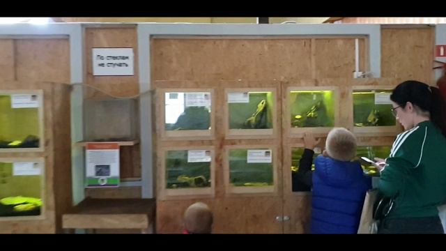 Ростовский зоопарк. Осенняя прогулка. Лешка и Мишка в зоопарке. смотреть онлайн