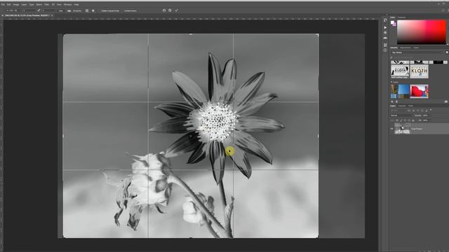 Preparing the cyanotype negative in Lightroom and Photoshop смотреть онлайн