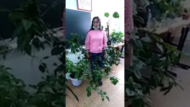 #Мы вместе проект Добрые сердца смотреть онлайн