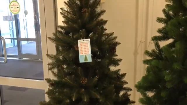 Искусственные елки в Тольятти. Видео обзор елка Европейская Королевская. смотреть онлайн