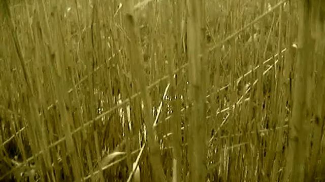 so unabomber say смотреть онлайн