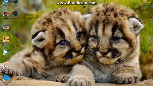 как установить эмулятор (#2) рассказ