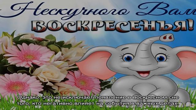 Сны и сновидения с субботы на воскресенье: что означают, сбываемость и исполняемость смотреть онлайн