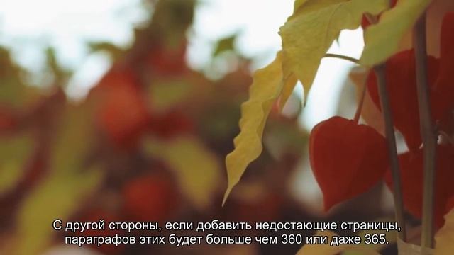 «Манускрипт Войнича»: таинственная книга на неизвестном языке смотреть онлайн