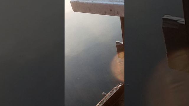 рыбалка на попловок смотреть онлайн
