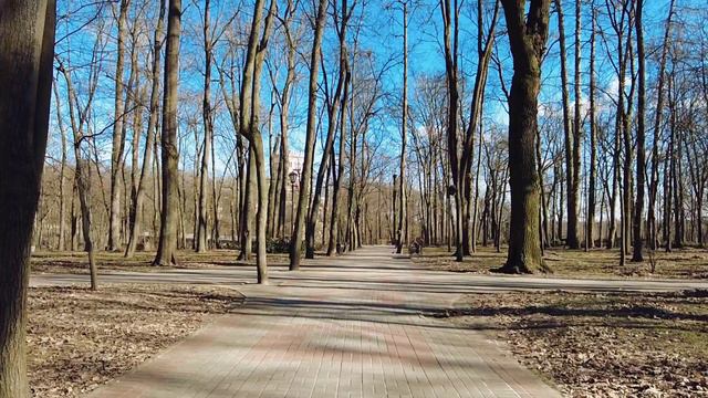 Релакс. Парк. Гомель..mp4 смотреть онлайн