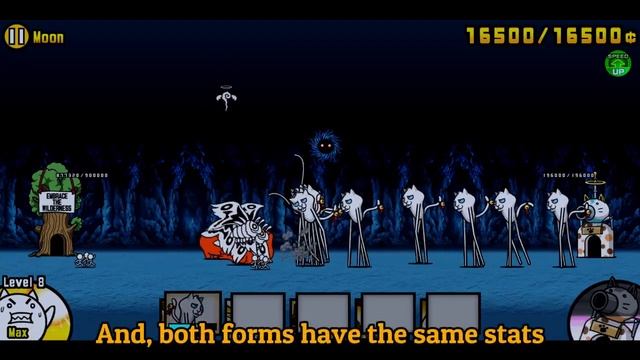 Beluga Cat?! смотреть онлайн