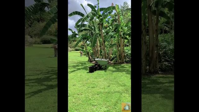 LEGO exhibition at Fairchild Tropical Botanic Garden in Coral Gables, May 2022 - Minishark in Miami смотреть онлайн