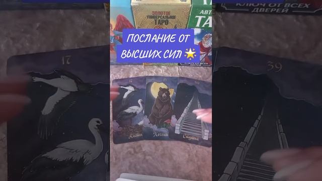 ПОСЛАНИЕ ОТ ВЫСШИХ СИЛ ? смотреть онлайн