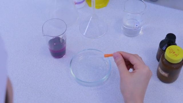 Презентация "ТОО Усть-Каменогорского стоматологического колледжа" смотреть онлайн