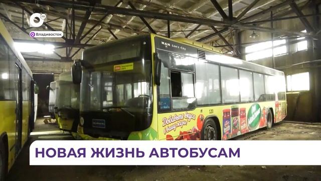 Старые муниципальные автобусы выставят на аукцион смотреть онлайн